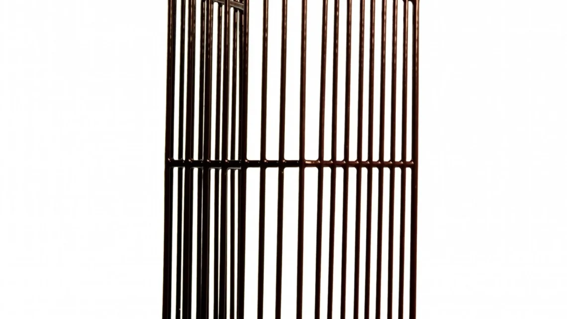 Boiler Overflow Guard 16"