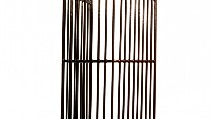 Boiler Overflow Guard 16"